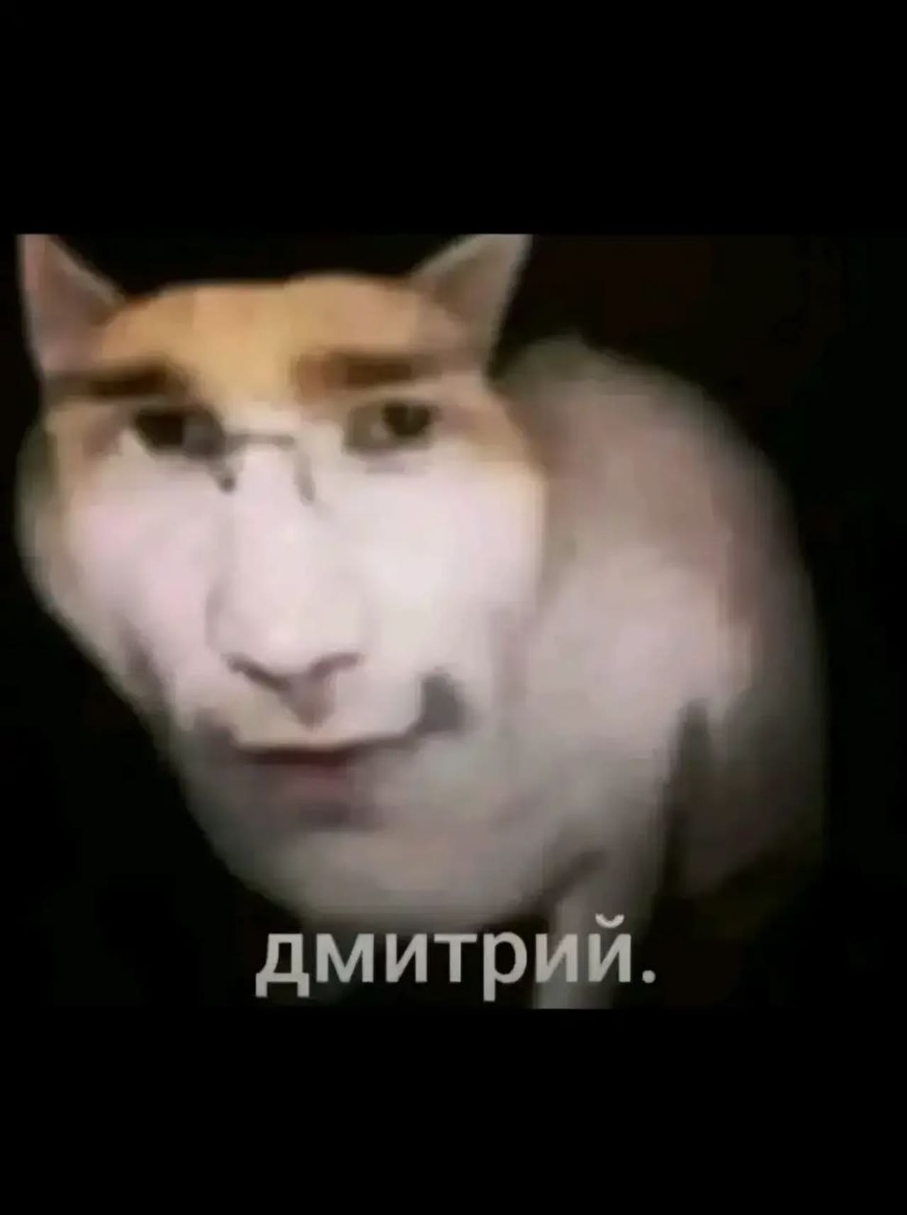 Спидхка